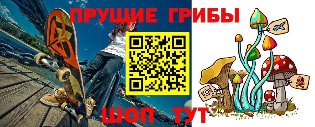 Псилоцибиновые грибы Cubensis  закладка  Златоуст  Вход с VPN 